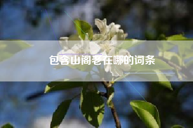 包含山阁老在哪的词条