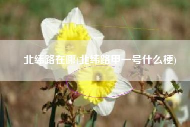 北纬路在哪(北纬路甲一号什么梗)