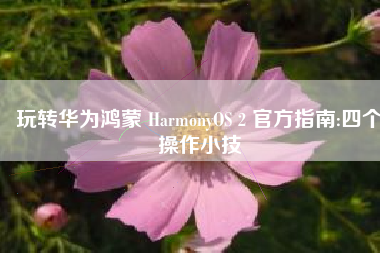 玩转华为鸿蒙 HarmonyOS 2 官方指南:四个操作小技