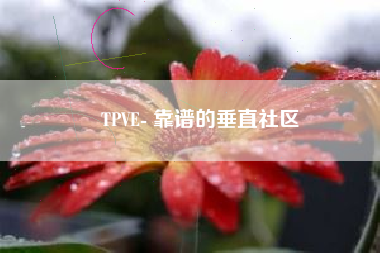 TPVE- 靠谱的垂直社区