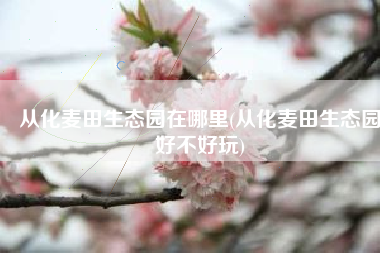 从化麦田生态园在哪里(从化麦田生态园好不好玩)