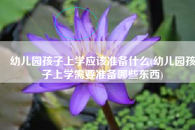 幼儿园孩子上学应该准备什么(幼儿园孩子上学需要准备哪些东西)