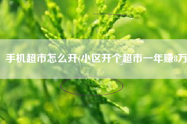 手机超市怎么开(小区开个超市一年赚8万)