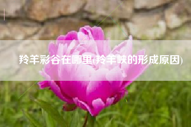 羚羊彩谷在哪里(羚羊峡的形成原因)