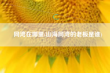 同湾在哪里(山海同湾的老板是谁)