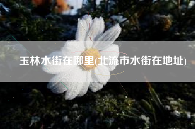 玉林水街在哪里(北流市水街在地址)