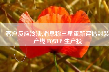 客户反应冷淡,消息称三星重新评估封装产线 FOWLP 生产投