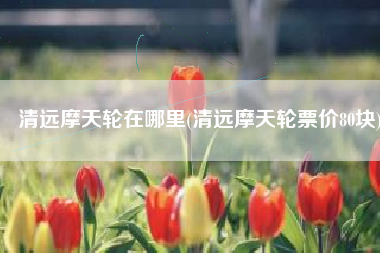 清远摩天轮在哪里(清远摩天轮票价80块)
