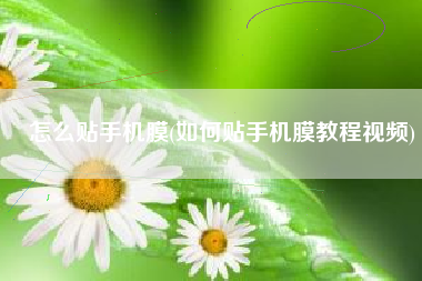 怎么贴手机膜(如何贴手机膜教程视频)