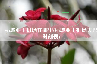 稻城亚丁机场在哪里(稻城亚丁机场大巴时刻表)