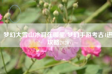 梦幻大雪山冰洞在哪里(梦幻手游考古4进5攻略2020)