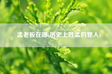 孟老板在哪(历史上姓孟的罪人)