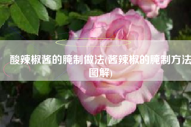 酸辣椒酱的腌制做法(酱辣椒的腌制方法图解)