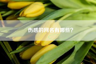 伤感的网名有哪些？