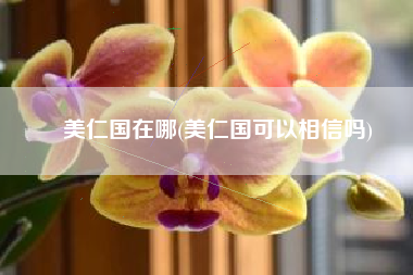 美仁国在哪(美仁国可以相信吗)