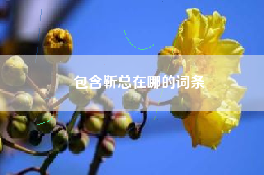 包含靳总在哪的词条