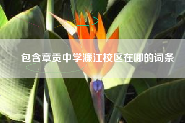 包含章贡中学濂江校区在哪的词条
