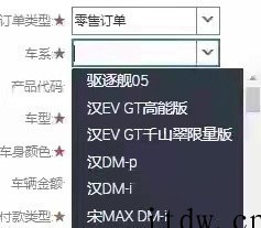超混旗舰,比亚迪汉 DM