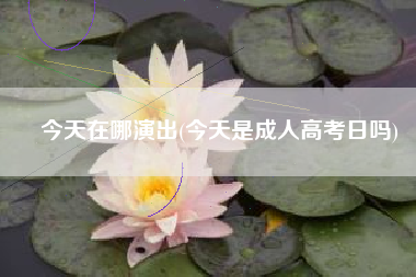 今天在哪演出(今天是成人高考日吗)