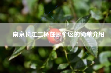 南京长江三桥在哪个区的简单介绍