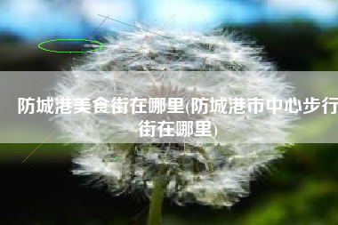防城港美食街在哪里(防城港市中心步行街在哪里)