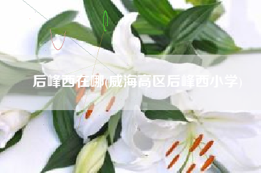 后峰西在哪(威海高区后峰西小学)