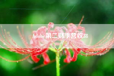 Adobe第二财季营收38