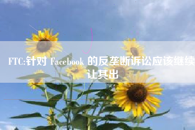 FTC:针对 Facebook 的反垄断诉讼应该继续,让其出