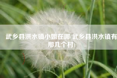 武乡县洪水镇小姐在哪(武乡县洪水镇有那几个村)