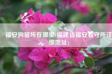 福安拘留所在哪里(福建省福安看守所详细地址)