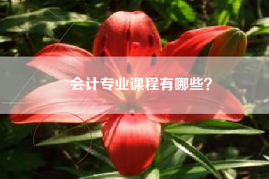 会计专业课程有哪些？