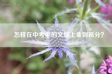 怎样在中考中的文综上拿到高分？