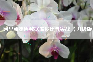 阿里新零售数据库设计与实战 （升级版）