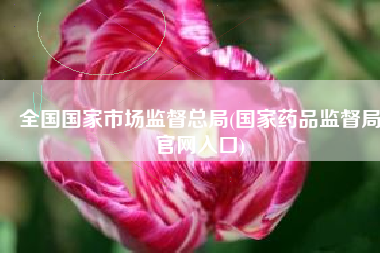 全国国家市场监督总局(国家药品监督局官网入口)