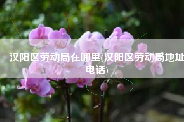 汉阳区劳动局在哪里(汉阳区劳动局地址电话)