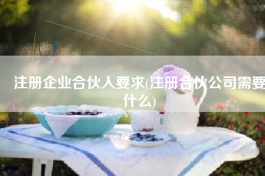 注册企业合伙人要求(注册合伙公司需要什么)