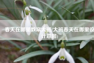 春天在哪里教案大班(大班春天在哪里设计意图)