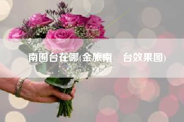 南囿台在哪(金旅南璟台效果图)