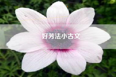 好芳法小古文