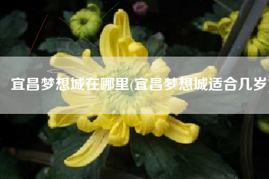宜昌梦想城在哪里(宜昌梦想城适合几岁)