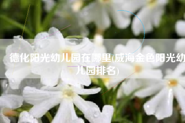 德化阳光幼儿园在哪里(威海金色阳光幼儿园排名)