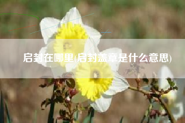 启封在哪里(启封盖章是什么意思)