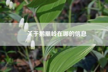 关于鹅凰岭在哪的信息