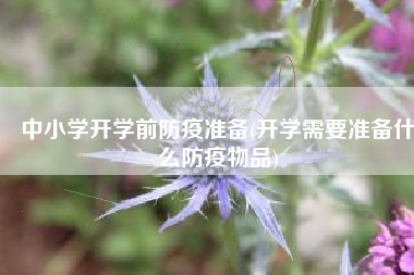 中小学开学前防疫准备(开学需要准备什么防疫物品)