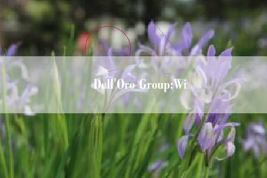 Dell’Oro Group:Wi