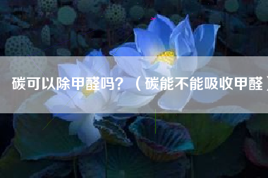 碳可以除甲醛吗？（碳能不能吸收甲醛）