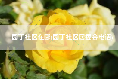 园丁社区在哪(园丁社区居委会电话)