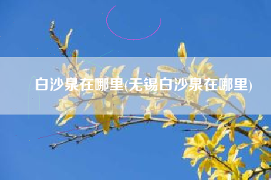 白沙泉在哪里(无锡白沙泉在哪里)