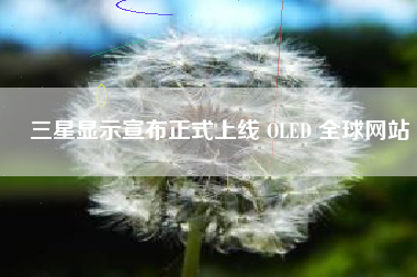 三星显示宣布正式上线 OLED 全球网站