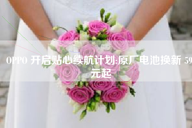 OPPO 开启贴心续航计划:原厂电池换新 59 元起